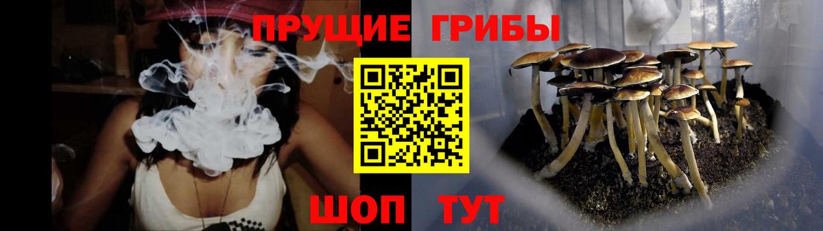 купить наркоту  Псилоцибиновые грибы ЛСД  Вход с VPN  Чехов 